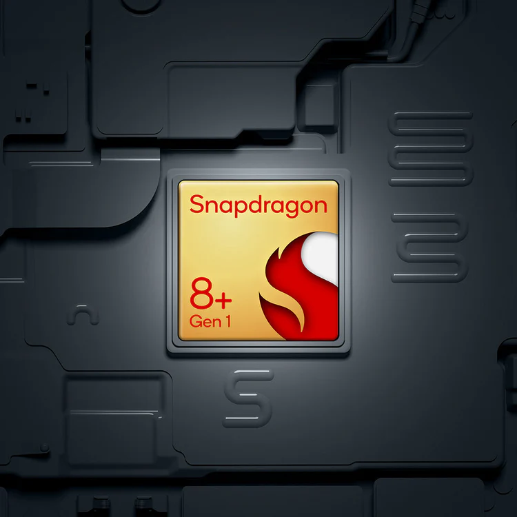 Chip snapdragon